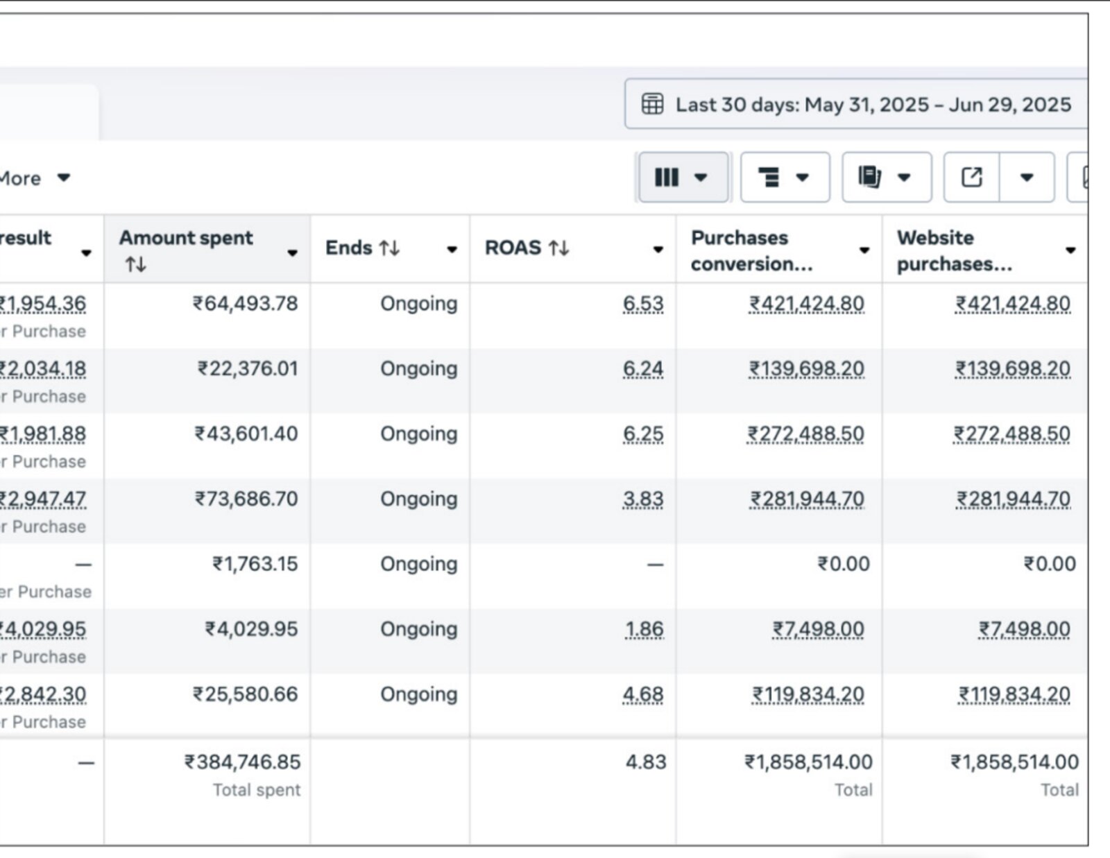 Lifestyle PPC ROAS